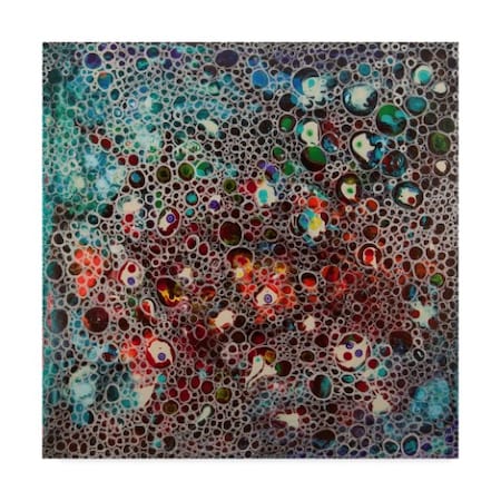 Hilary Winfield 'Dimension Red Blue' Canvas Art,14x14